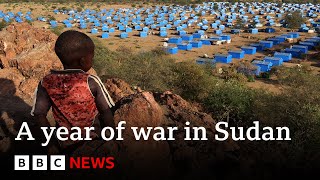 Sudan: Millions driven to extreme hunger in warravaged country | BBC News