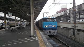 【真昼の静岡地区を通過‼️】M250系貨物列車「スーパーレールカーゴ」9051レ安治川口行き 静岡駅通過‼️(Sagawa Express's Freight Train)
