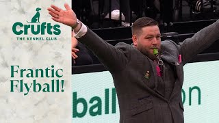 Does it get more FRANTIC than this?!  Chaotic Flyball Race at Crufts 2024