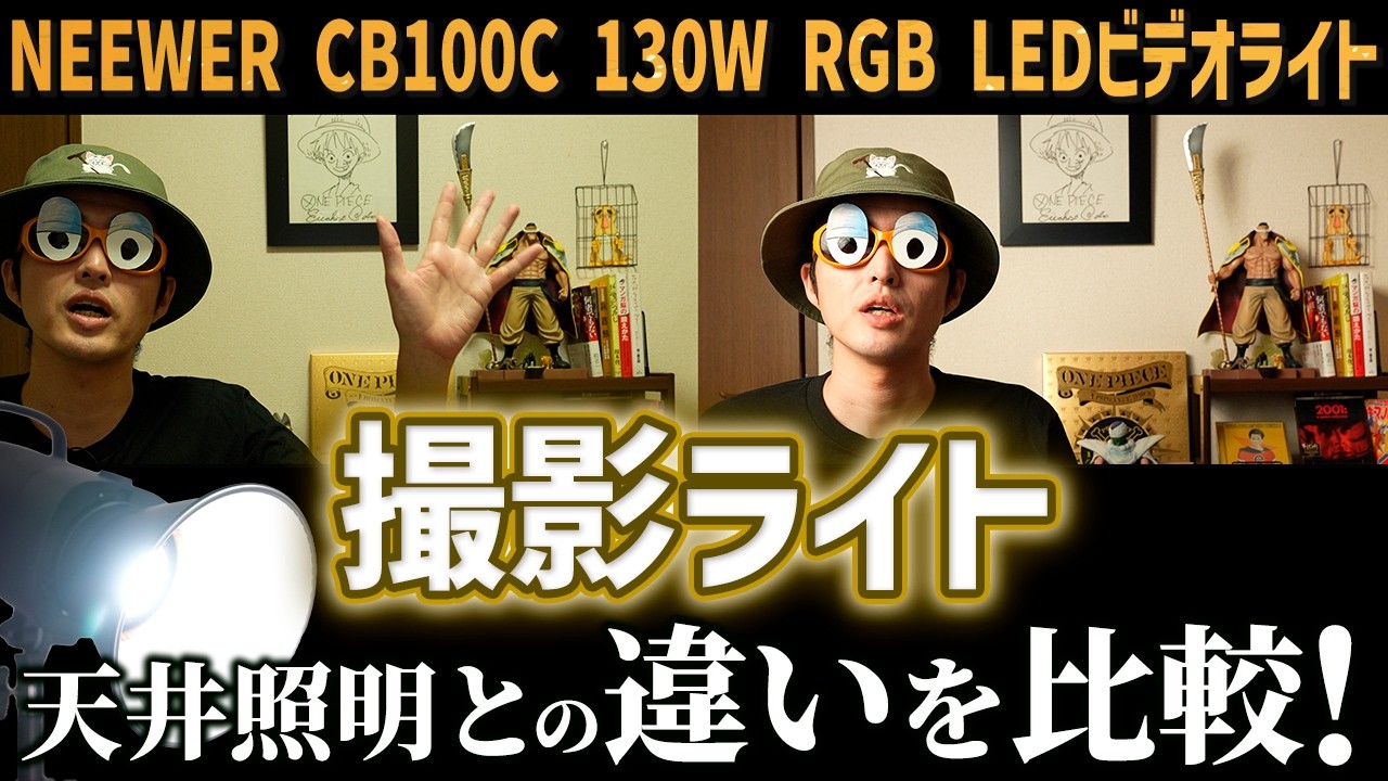 撮影ライト】NEEWER→CB100C LEDビデオライト/ソフトボックス使用時と