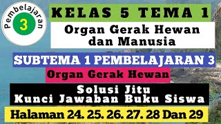 Kelas 5 tema 1 subtema pembelajaran 3 ...