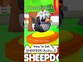 How To Get The New SHEEPDOG Ducky Pet in Adopt Me...😱#roblox #adoptme
