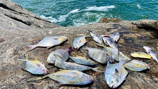 INCRÍVEL! Esse PESQUEIRO estava LOTADO de PEIXES! (Rock Fishing)