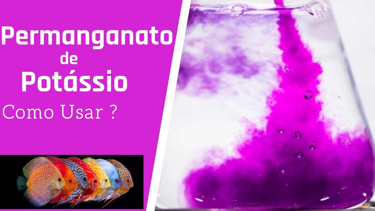 PERMANGANATO DE POTÁSSIO EM ACARÁ DISCO