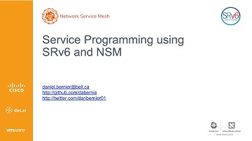 Service Programming using SRv6 and NSM