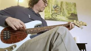 fIREHOSE - Choose any Memory (bass cover)
