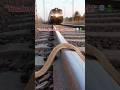 #snake #train  #wildlife  #animals #shorts  #viralshorts  #danger #reels  #animalshorts  #nature