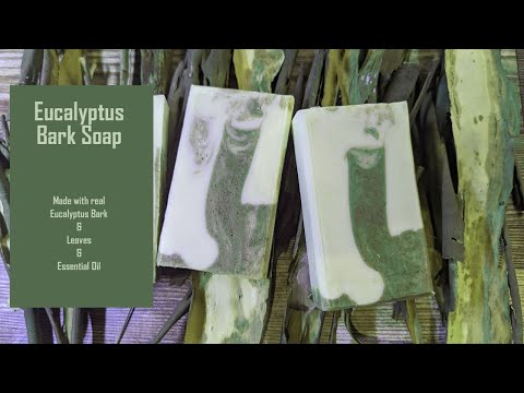 Video: Eucalyptus yog Peeling Bark: Vim li cas Eucalyptus Tsob Ntoo Tsob Ntoo