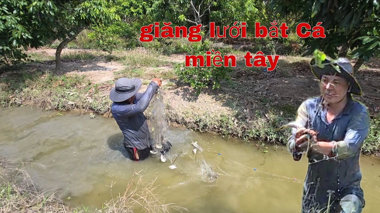 Giăng Lưới Bắt Cá Làm Bữa Cơm Đơn Giản,Lẩu Chả Cá Nhúng Với Khổ Qua Mà Ngon/NHMT
