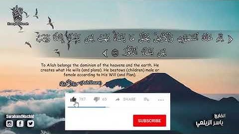 سورة ( الشوري ) قوڕئان خوێن 🌸 ياسر الزيلعي 🌿