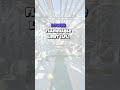 5 терминов для танкера-газовоза #моряк #газовоз #судоходство #igccode #SecondOfficer #thirdmate