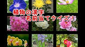 部首の種類 垂 たれ 繞 にょう 構 かまえ 漢字クイズ Youtube
