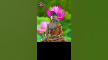 Bị Tổn Thương Mà Không Phản Kháng – Phật Dạy Cách Hóa Giải Để Nhận Phúc Báu