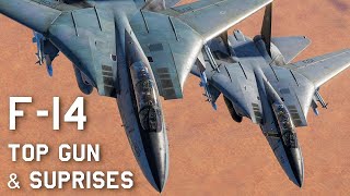 Escadron de F-14 - Missile surprise et Top Gun ! DCS World