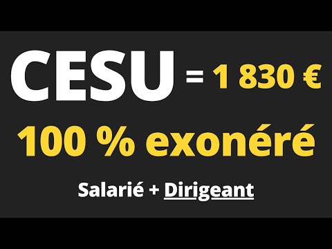 Comment mettre en place le CESU ? Obligations et avantages fiscaux