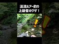 これがルアー釣りのプロ！誰にもマネできない…！ #shorts