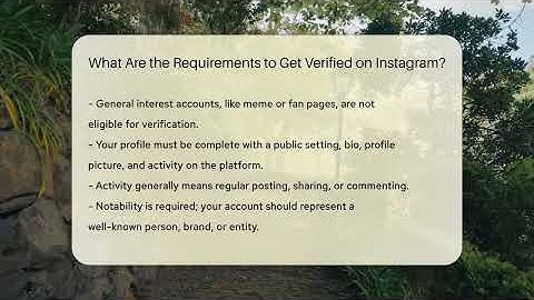 What Are the Requirements to Get Verified on Instagram? - Everyday-Networking