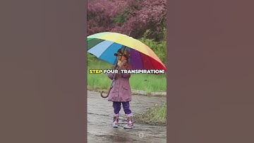 PSLE Science - Water never stops! #psle #science #sciencefacts #primary #elementary