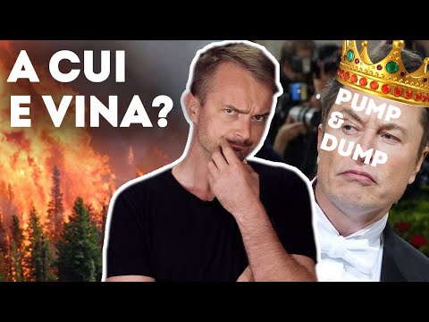 ? Incendiile de vegetație au ajuns în România ? // Țepele lui Elon (Pump and Dump KING)