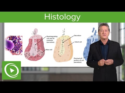 Video: Histologie - Glossar Der Medizinischen Begriffe