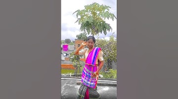 santali status video #shorts #status #santali #santalishorts #santalistatus#shortsvideo #shortsfeed