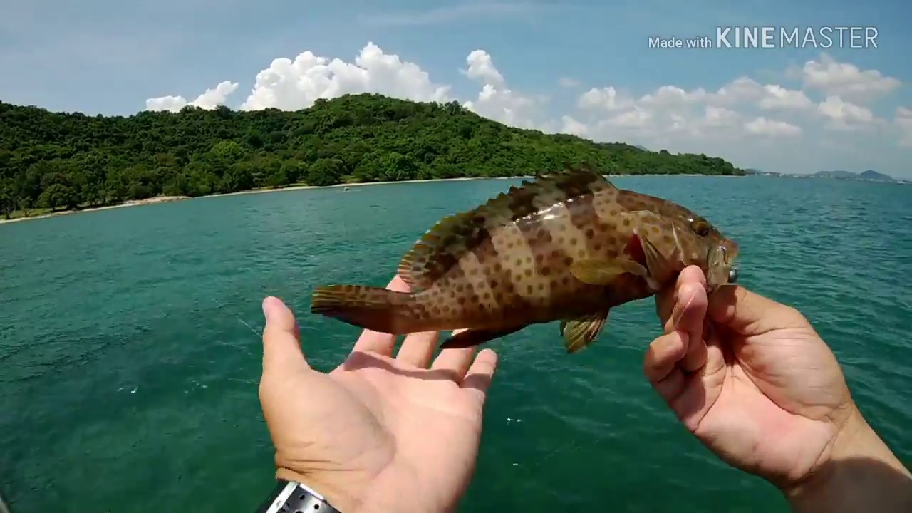 Ajing Fishing ตกปลาระยองรีสอร์ทajing game ชายฝั่งจังหวัดระยอง - YouTube