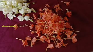 Jasmine red rose and kanakambaram flowers using Beautiful Traditional Bridal poola jadalu making