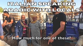 Travel vlog - ANIMAL MARKET IN TUNISIA | SPEAKING (BROKEN) ARABIC | SAHARA DESERT TOWN | VISIT DOUZ TRAVEL GUIDE
