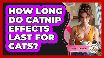 How Long Do Catnip Effects Last For Cats? - Happy Cat Handbook