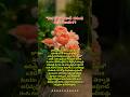 #juliet#rose#bhakti#god#devotional#telugu#lord#india#facts#shiva#trending#viral#video#shorts#hindu