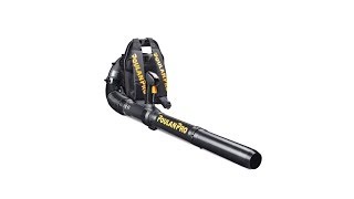 Poulan Pro PR46BT 46-cc 2-cycle 220-MPH 490-CFM Gas Backpack Leaf Blower