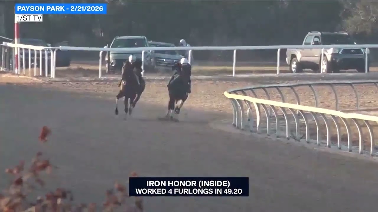 A Preview of the $300,000 Gotham Stakes (G3) at Aqueduct