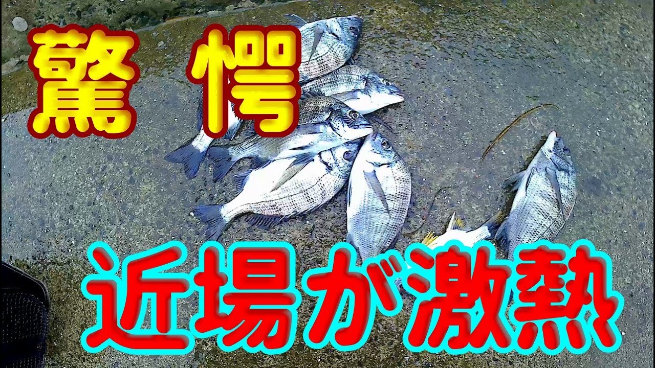 15 太刀魚釣り 天草の堤防から太刀魚を狙う1 Youtube