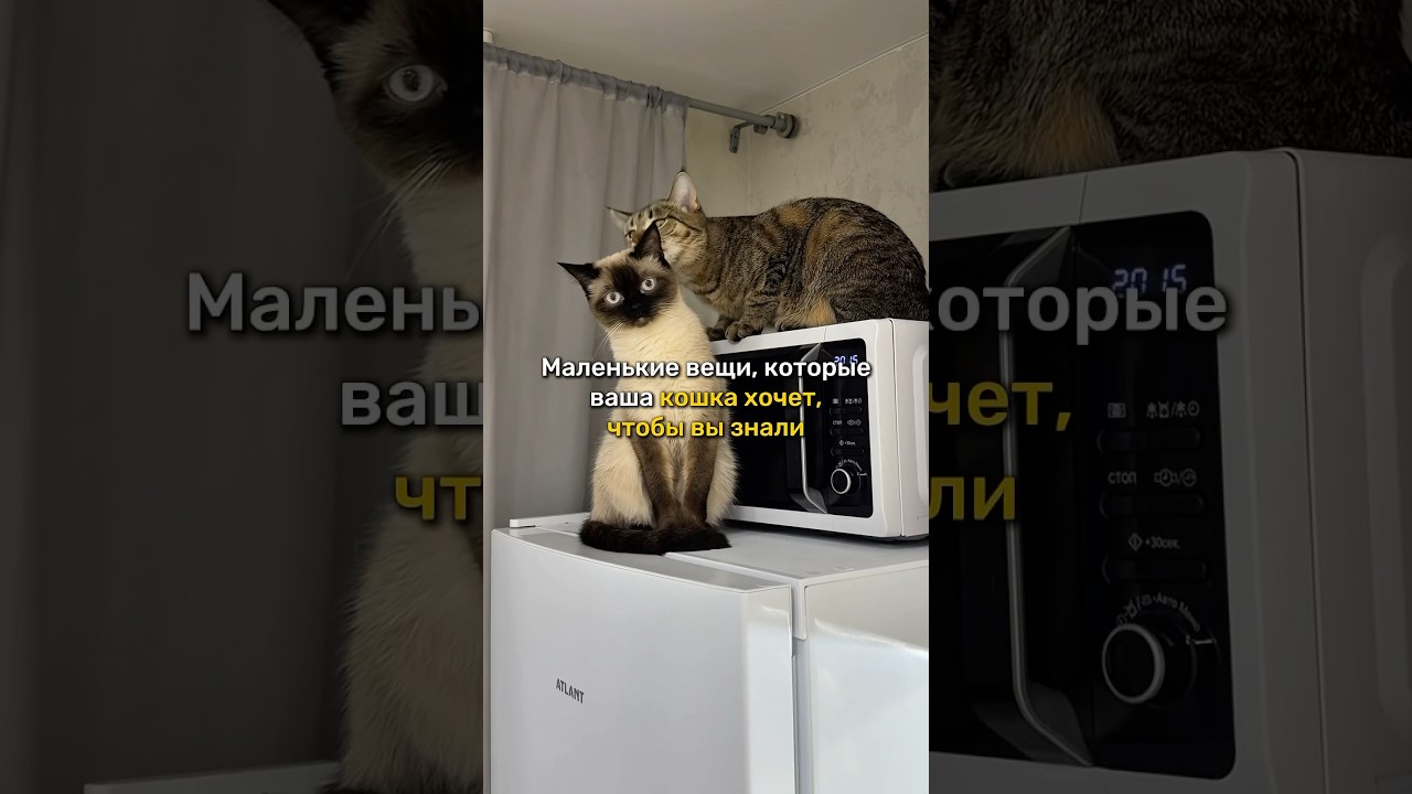 💫Ликвидатор с ВБ: 