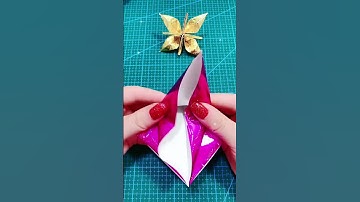 Origami Wonders: Crafting Marvels from Paper