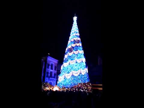 USJ クリスマスツリー2013
