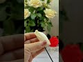 با روبان گل رز بسازید ترفند ایده ایده های خلاقانه خانه داری با روبان گل رز بسازید ترفند ایده ایده های خلاقانه خانه داری
