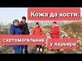 КОЖА ДА КОСТИ: СКОТОМОГИЛЬНИК У КАРЬЕРА