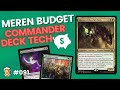 Meren budget commander deck tech ft calendal  drinks of alara 091