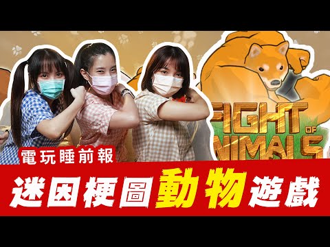 拿迷因柴柴打架啦 ! 盤點三款超萌動物遊戲 還有香香的妹子 動物之鬪 貓咪大戰爭 瀕臨絕種團  │ 辣机製造所【電玩睡前報 EP.13】