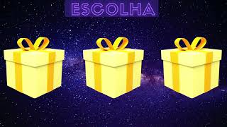 SURPRESA! ESCOLHA SEU PRESENTE || CHOOSE YOUR GIFT - Bibi Show