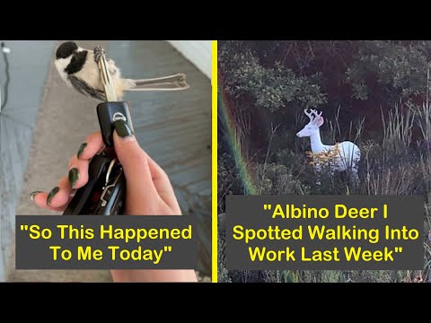 Times People Took A Photo Of Something ‘In Case Nobody Believed Them’ | Humor Sweet