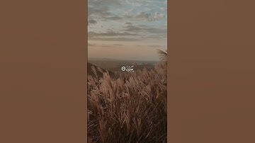 سورة القصص | الحصري   #القرآن_الكريم #الحصري #تلاوات