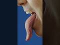 Longest tongue 👅 10.1 cm (3.97 in) belonging to Nick Stoeberl 🇺🇸