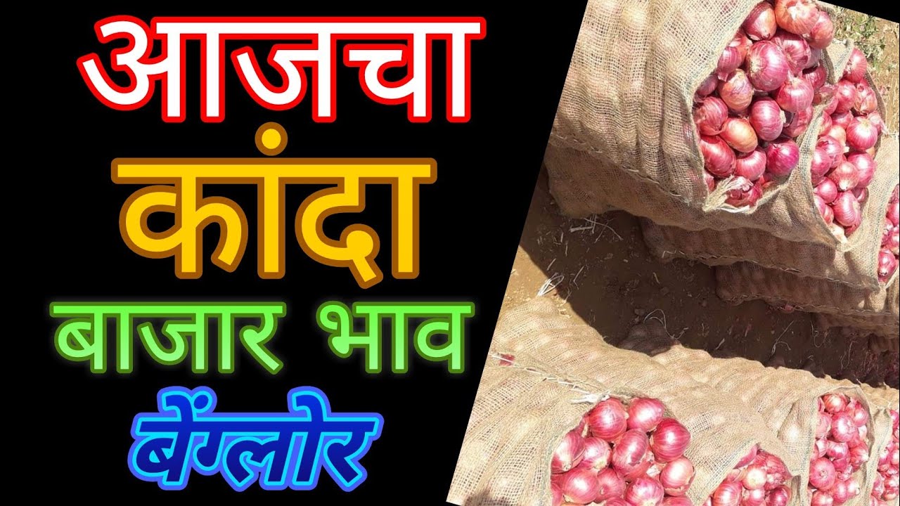 बेंग्लोर येथील कांदा बाजार भाव दि 12/03/2019 Onion Price in Bengluru@@ प्याज के मंडी दाम