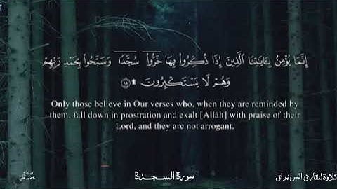 سورة السجدة - كاملة | القارئ انس براق | تلاوة خاشعة 🍀