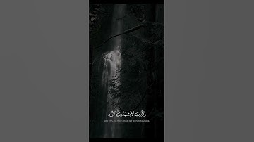 تلاوة يخشع لها القلب من سورة الفرقان