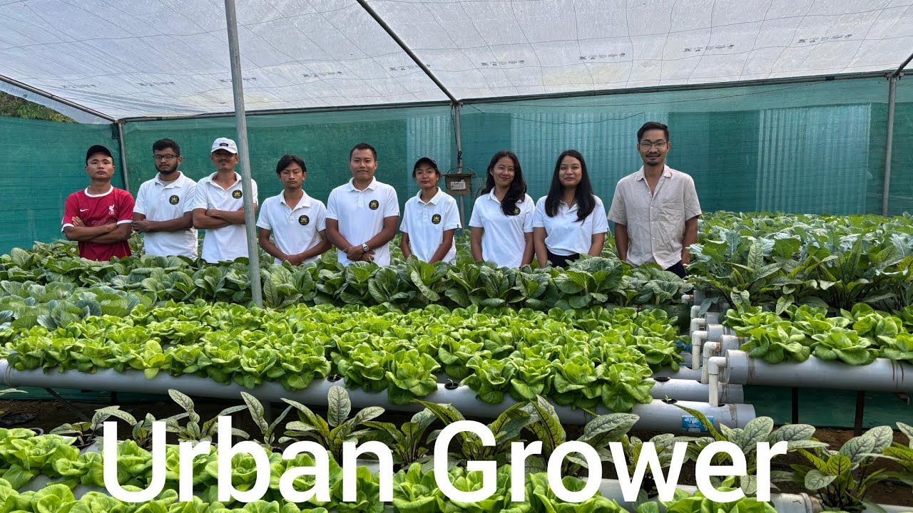 Internship life at an Urban Grower hydroponics farm! 