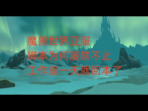 魔兽世界亚服脚本为何屡禁不止，工作室一天就回本了