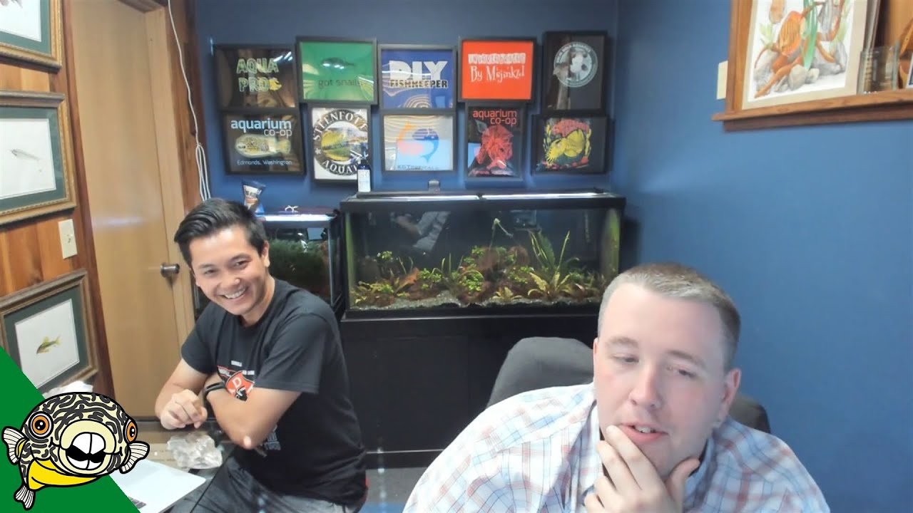 aquarium plants Meet Jimmy of Aquarium Co-Op